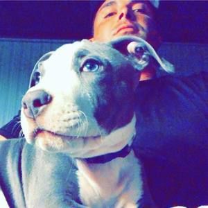 Meet your Posher, Damian